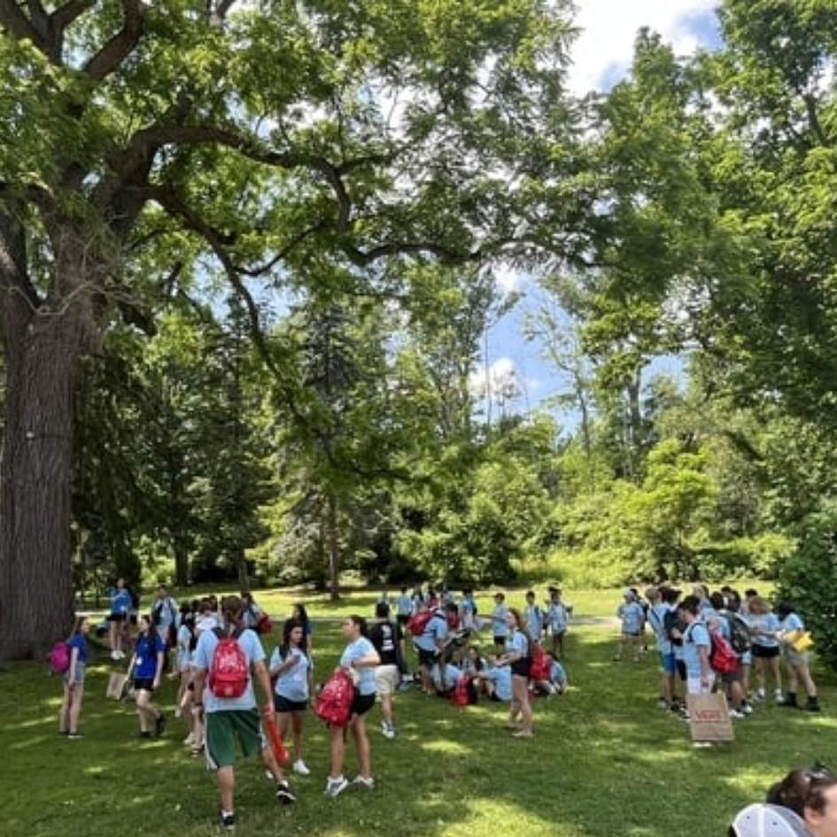 Camp Image